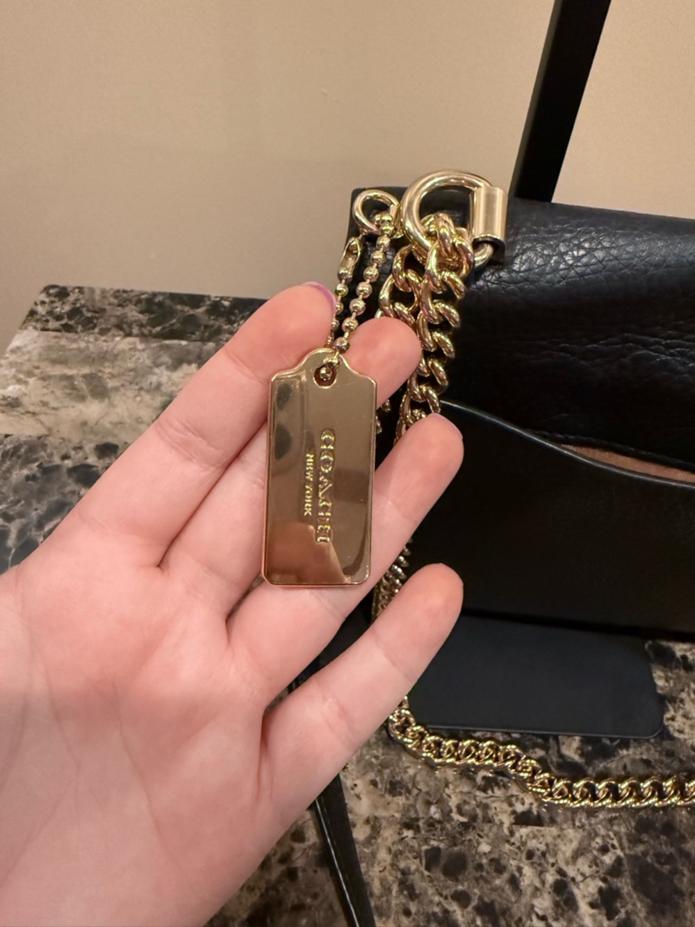Coach Klare Crossbody with Diary Embroidery RARE LIMITED EDITION - Picture 15 of 15